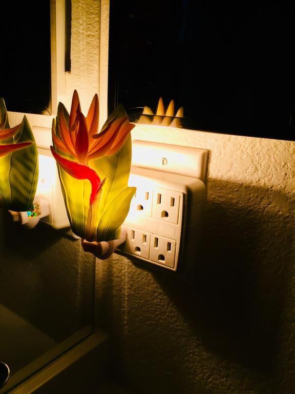 Pacific Beach Butterfly Suite Σαν Ντιέγκο Εξωτερικό φωτογραφία